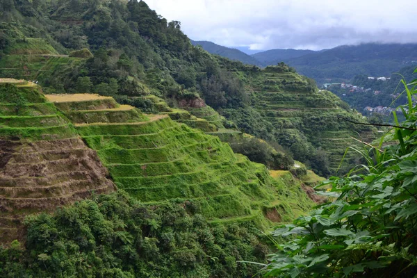 Красивый Вид Рисовые Террасы Банауэ Лусоне Филиппины — стоковое фото