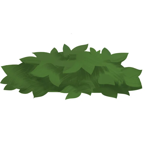 Uma Ilustração Desenhada Mão Arbusto Verde Isolado Sobre Fundo Branco — Fotografia de Stock