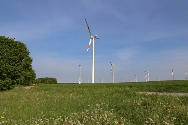 Field Covered Greenery Surrounded Windmills Sunlight Blue Sky Germany — Zdjęcie stockowe