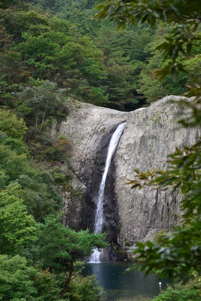 Вертикальный Снимок Водопада Джиксо Национальном Парке Бёнсан Бандо Южная Корея — стоковое фото