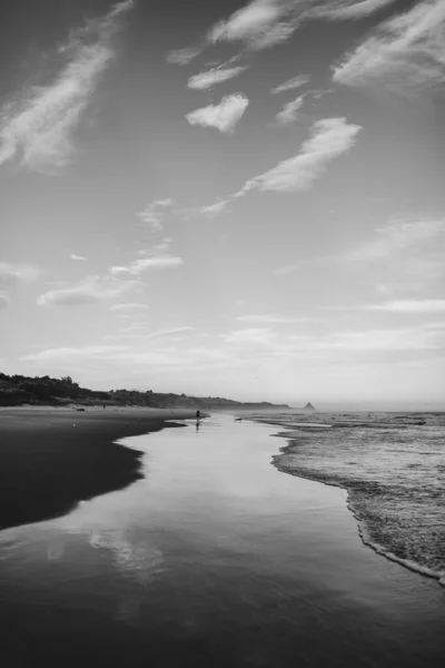 Vertical Grayscale Shot Wave Beach Dunedin New Zealand — Stock Photo, Image
