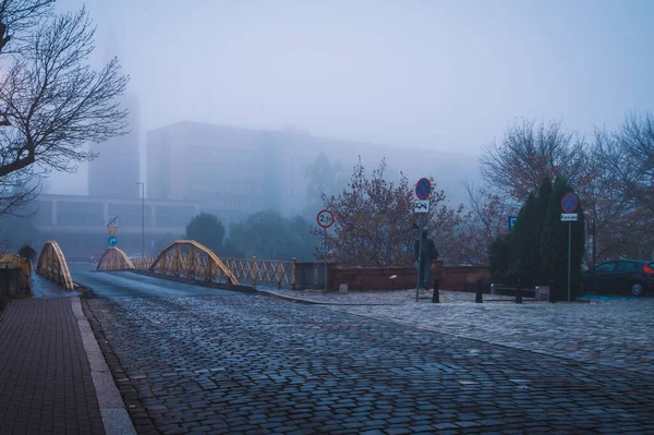 Opole Parkja Lengyelország Egy Ködös Téli Napon — Stock Fotó