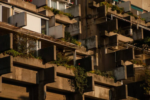 Lado Edificio Con Balcones Verdes — Foto de Stock