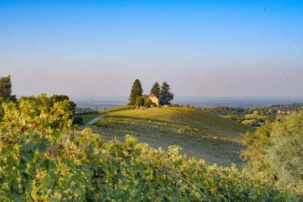 High Angle Shot Breathtaking View Field Daytime — Stock Photo, Image