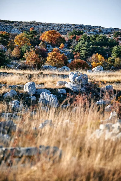 Захватывающий Снимок Осеннего Пейзажа Французской Ривьере — стоковое фото