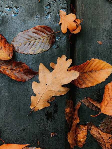 Colpo Verticale Vista Dall Alto Foglie Autunno Una Superficie Legno — Foto Stock