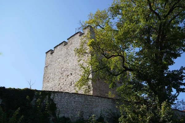 Uno Sparo Albero Vicino Vecchio Castello — Foto Stock