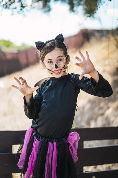 Una Linda Niña Usando Disfraz Gato Halloween Sonriendo Asustando Fotógrafo —  Fotos de Stock