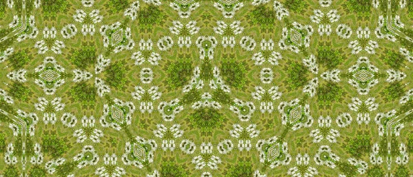 Panorámás Illusztráció Zöld Texturált Minták — Stock Fotó