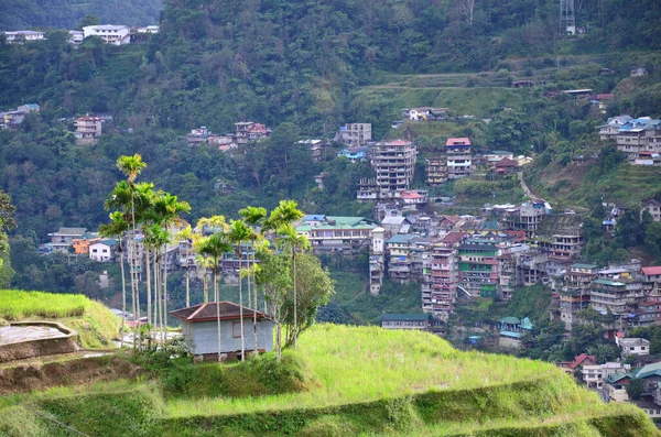 菲律宾吕宋的巴瑙米梯田美景 — 图库照片