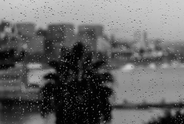 Una Toma Escala Grises Una Ventana Vidrio Con Gotas Lluvia — Foto de Stock