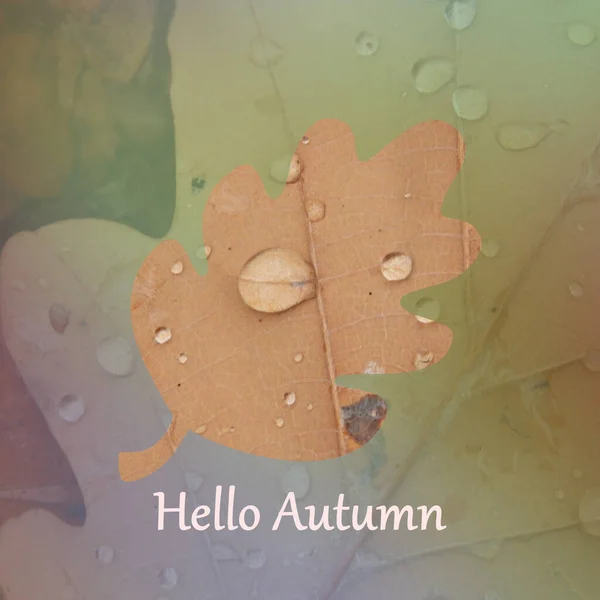 Контур Листа Надписью Hello Autumn Расплывчатом Фоне — стоковое фото