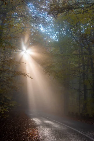 Sonnenstrahlen Durch Den Nebel Wald Auf Der Straße Herbst — Stockfoto