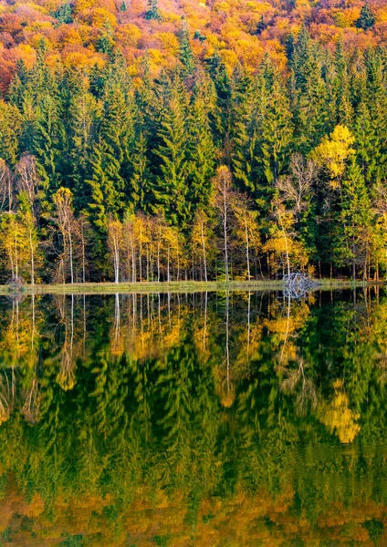 Eine Aufnahme Der Herbstlichen Landschaft Des Sankt Anna Sees Rumänien — Stockfoto