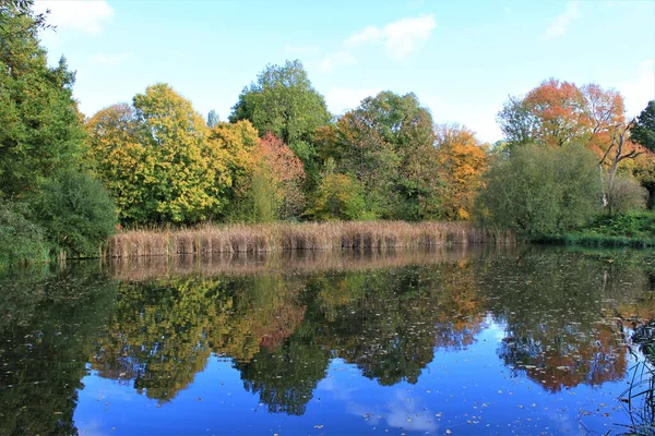 색깔의 나무와 초목으로 둘러싸인 호수의 아름다운 — 스톡 사진