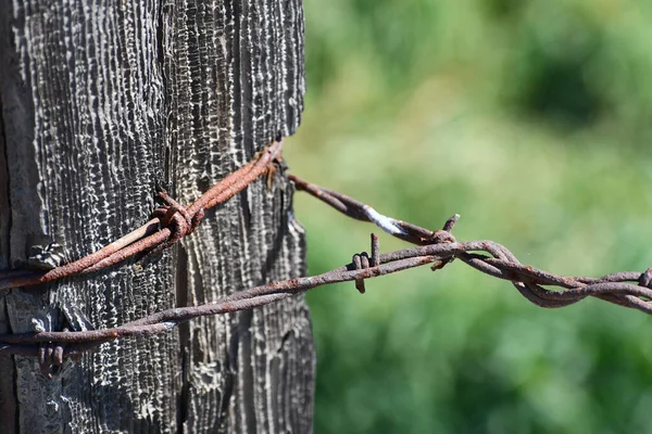 Een Close Shot Van Roestige Prikkeldraad Een Houten Paal — Stockfoto