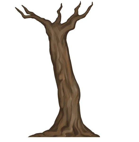 Иллюстрация Ствола Дерева Белом Фоне — стоковое фото