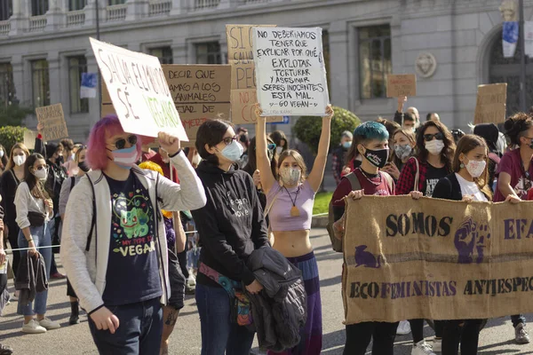 Madrid Hiszpania Listopada 2020 Convocatoria Animalista Vegana Madrid Noviembre 2020 — Zdjęcie stockowe