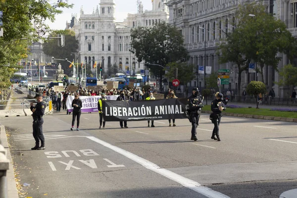 Madrid Spain Nov 2020 Convocatoria Animalista Vegana Madrid Noviembre 2020 — 图库照片