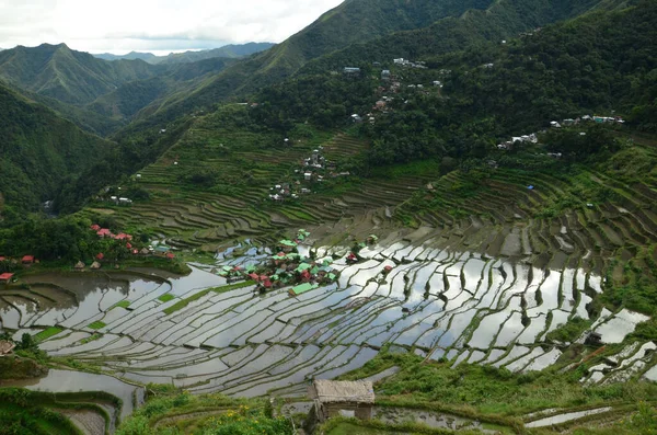 Uma Vista Hipnotizante Batad Rice Terraces Luzon Filipinas — Fotografia de Stock