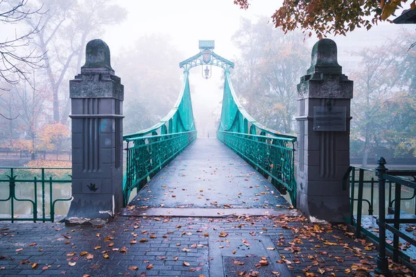 Opole 2020年10月29日 城市的一座旧桥在大雾中破晓 — 图库照片