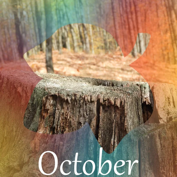 Kontur Ett Blad Med Oktober Skriven Mot Suddig Färgstark Bakgrund — Stockfoto