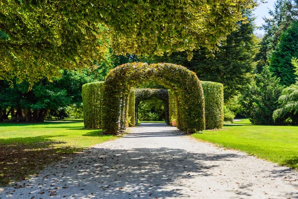 Uma Bela Vista Arcos Feitos Grama Jardim Dia Ensolarado Verão — Fotografia de Stock