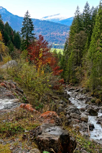 Vertical Shot Riverside Mountains Forests Background — Stock Photo, Image