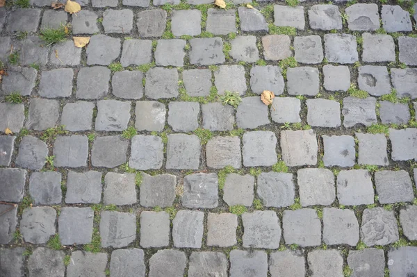 Een Bovenaanzicht Van Stenen Stenen Vloeren Met Een Aantal Grassen — Stockfoto