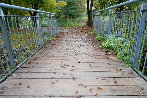 Tiro Uma Floresta Outono Uma Ponte Com Cercas — Fotografia de Stock