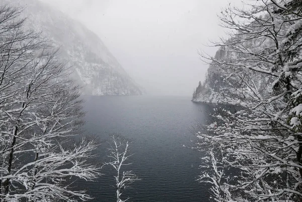 Paisaje Árboles Desnudos Cubiertos Nieve Con Fondo Lago Durante Invierno — Foto de Stock