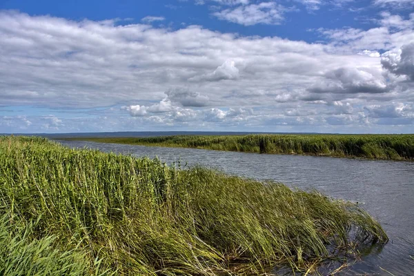 Sammanflödet Wisla Krolewiecka Kanalen Och Vistula Lagoon Zulawy Wislane Polen — Stockfoto