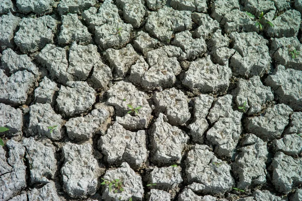 土中の干ばつのトップビューの風景割れ — ストック写真