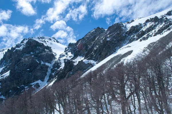 Μια Όμορφη Λήψη Μιας Χιονισμένης Βουνοπλαγιάς — Φωτογραφία Αρχείου