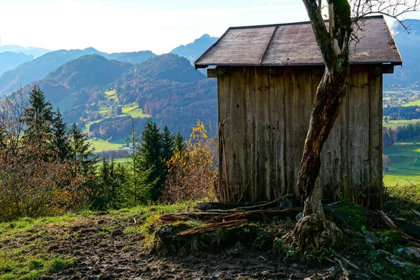 Primer Plano Una Cabaña Madera Junto Árbol Sin Hojas —  Fotos de Stock