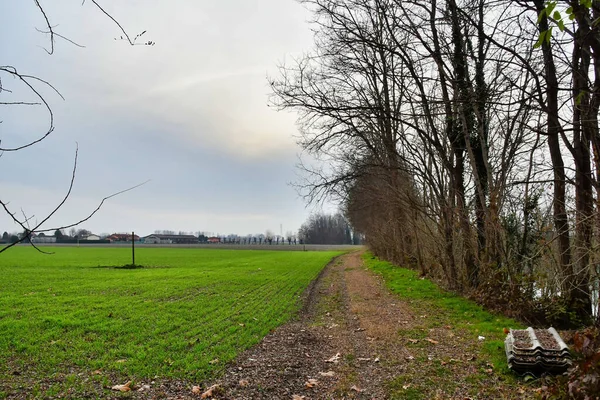 Cesta Venkově — Stock fotografie