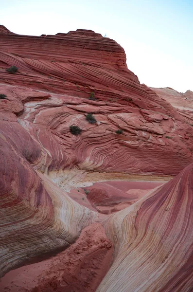 Una Toma Vertical Wave Utah —  Fotos de Stock