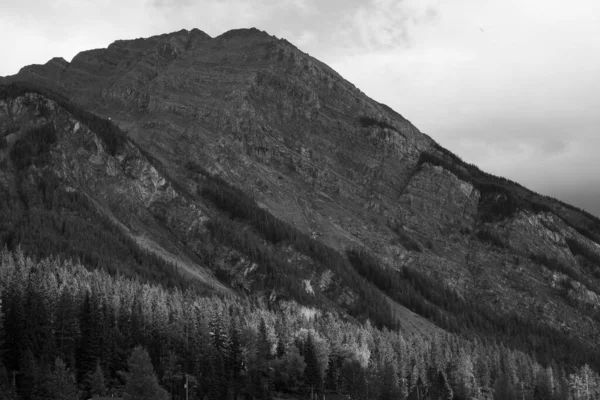 Disparo Escala Grises Una Montaña Boscosa —  Fotos de Stock