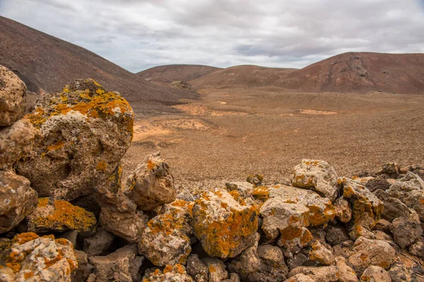 Gros Plan Rochers Sur Procès Sur Fuerteventura Nature Trail — Photo