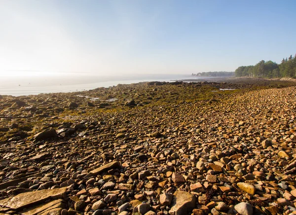 Μια Θέα Από Πέτρες Στην Ακτή Κατά Διάρκεια Μιας Ομιχλώδους — Φωτογραφία Αρχείου