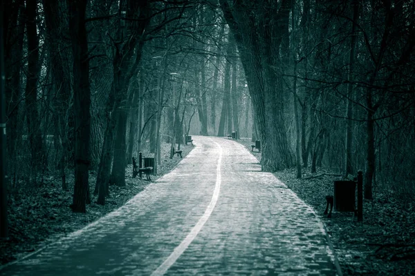 両側にベンチがある森の中の神秘的で不気味な道路のショット — ストック写真