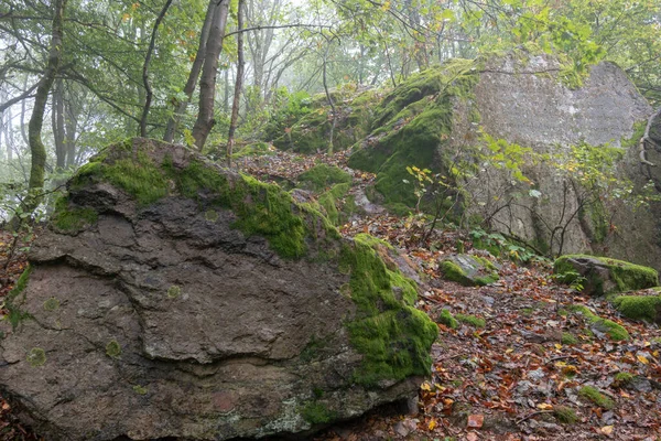 Foggy Autumn Thuringian Forest Immense Rough Stones Covered Moss Fallen — Stock Photo, Image