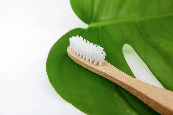 Closeup Toothbrush Green Leaf — Stock Photo, Image