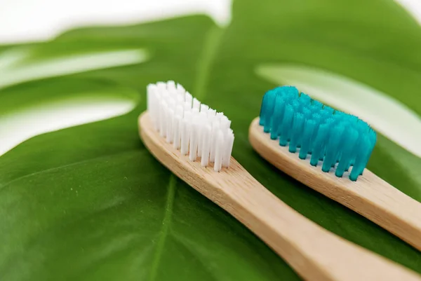 Closeup Toothbrush Green Leaf — Stock Photo, Image