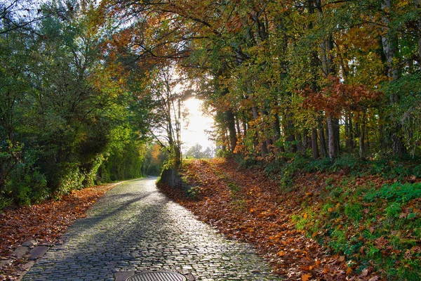 Autumn View Park Maransart Belgium — Stock Photo, Image