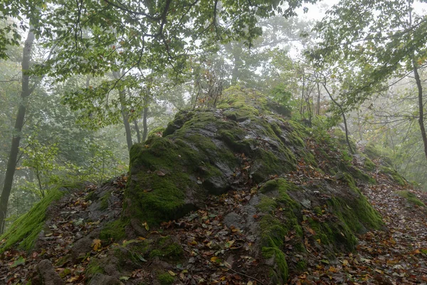 Een Mistige Herfst Thüringer Bos Met Een Immense Ruwe Steen — Stockfoto