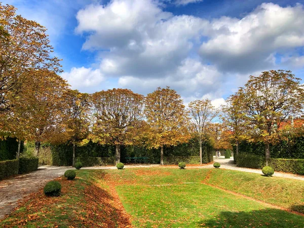 Herfstbomen Tuin Onder Een Bewolkte Hemel — Stockfoto