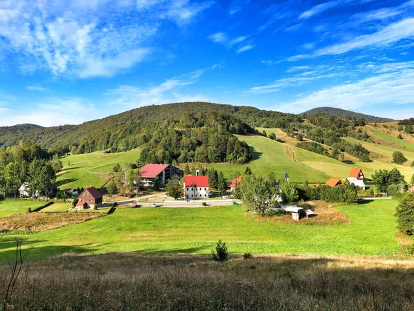 Krásné Svěží Pole Hustě Zelenými Stromy Pod Modrou Slunnou Oblohou — Stock fotografie