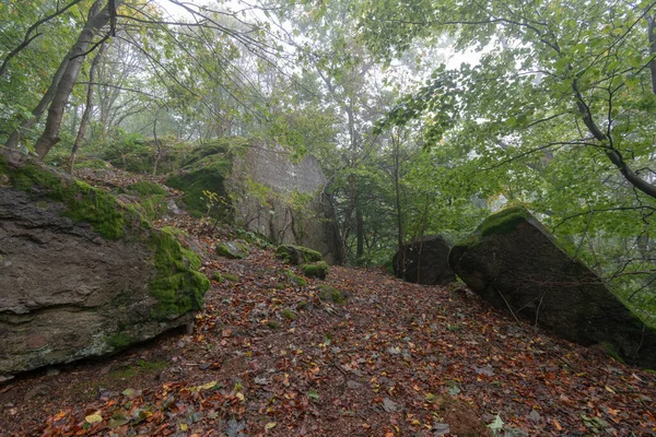 Een Mistige Herfst Thüringer Bos Met Immense Ruwe Stenen Bedekt — Stockfoto