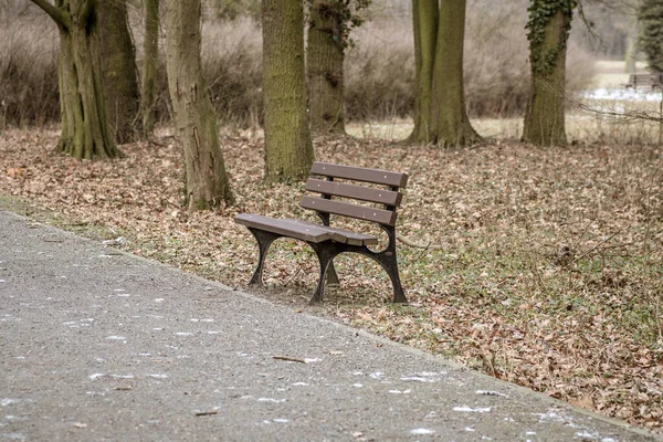 공원에서 나무로 의자를 클로즈업 — 스톡 사진